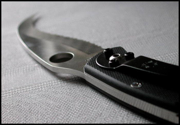 Ніж Spyderco Civilian C12GS 