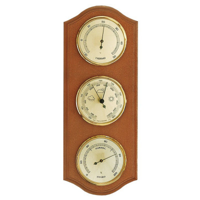 Метеостанція Moller (203379)