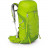 Рюкзак Osprey Talon 33 Yerba Green M/L