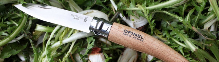 Ніж Opinel Jardin 8 VRI 
