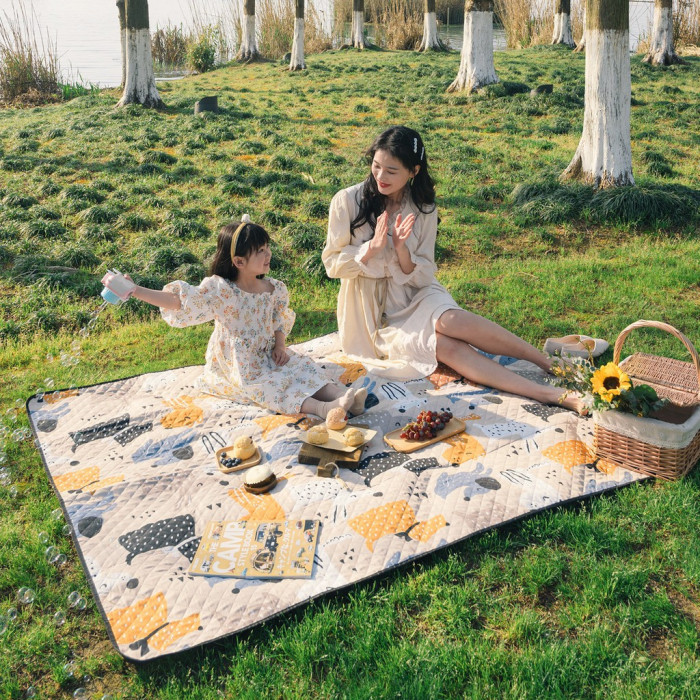 Килимок для пікніка Naturehike Picnic mat L 210 * 240 NH21FCD01 pet 