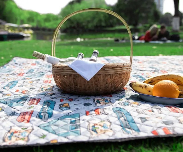 Килимок для пікніка Naturehike C042 200 х 180 см NH19D024-Z camping life 