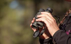 Бінокль Vortex Diamondback HD 8X28 (DB-210) 