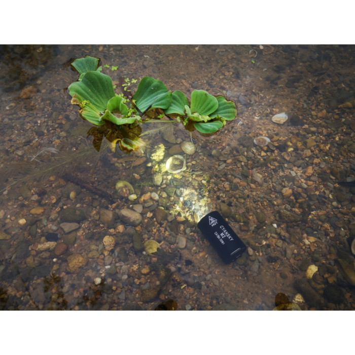 Кишеньковий ліхтар Cyansky M2 XP-E2 R3 