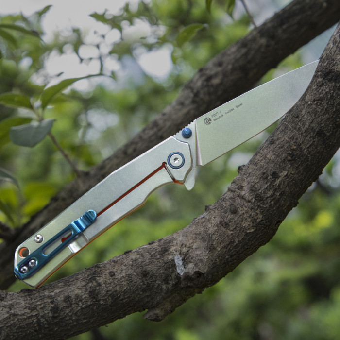 Ніж складаний Ruike P801-G 