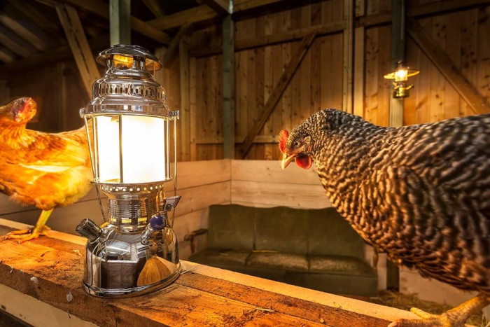 Гасова лампа високого тиску Petromax  HK500 Латунь 