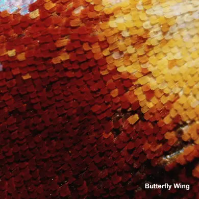 Мікроскоп Bresser Biolux LCD Touch 30x - 1200x (5201020) 