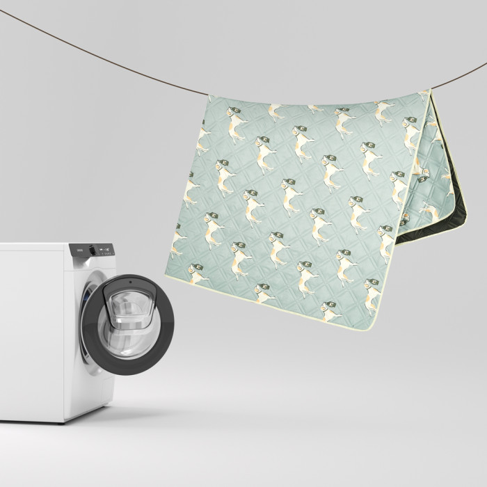 Килимок для пікніка Naturehike 210*240 CNK2350WS010, бежевий з котами 