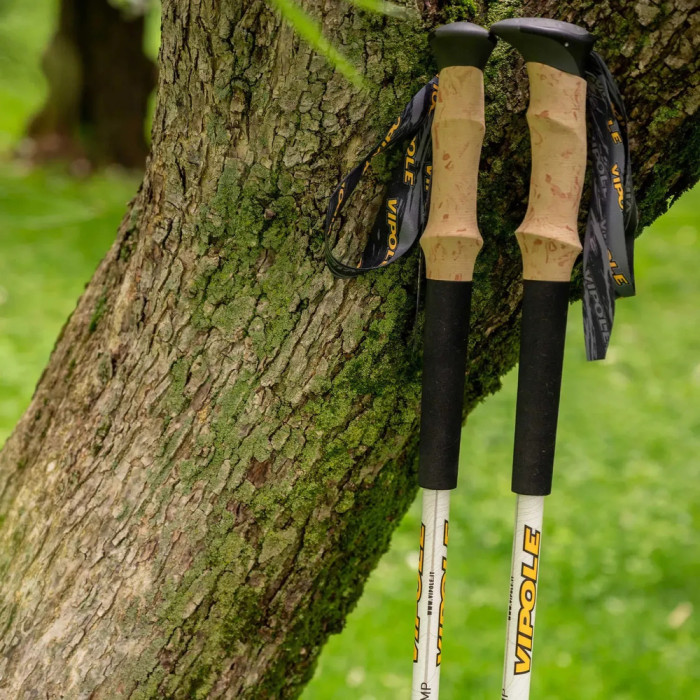 Палиці трекінгові Vipole Base Camp Cork DLX (S25 06) 