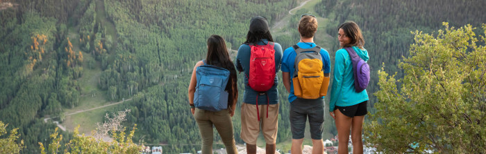 Рюкзак Osprey Daylite Plus-червоний /бордовий 