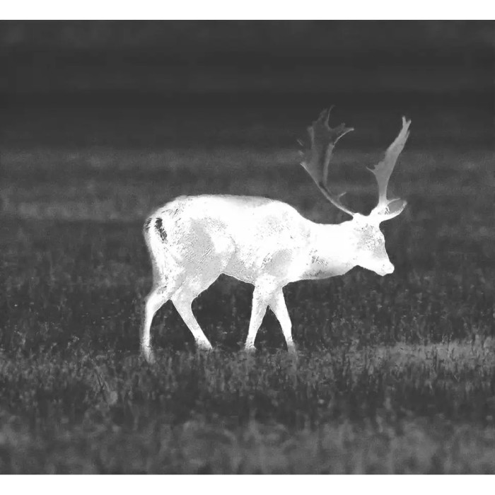 Приціл Guide TR222 Gen2, 25mm F1.0, 3.6-14.4x, 256x192@12μm, VOx (QD Long mount) 