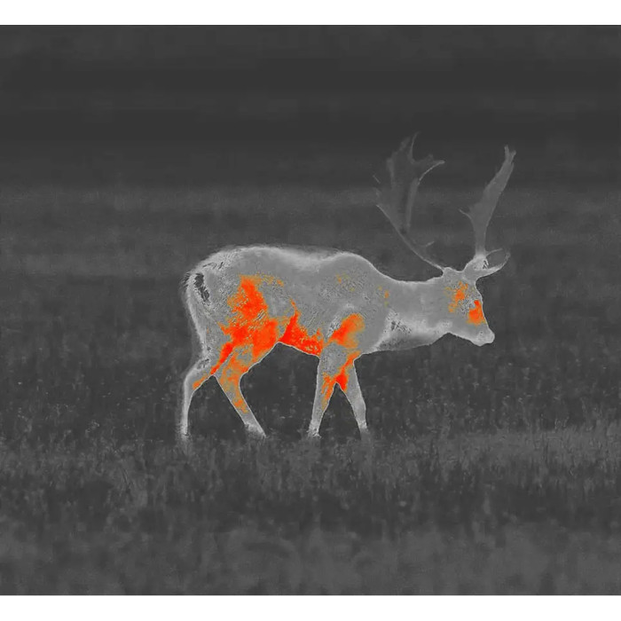 Приціл Guide TR222 Gen2, 25mm F1.0, 3.6-14.4x, 256x192@12μm, VOx (QD Long mount) 