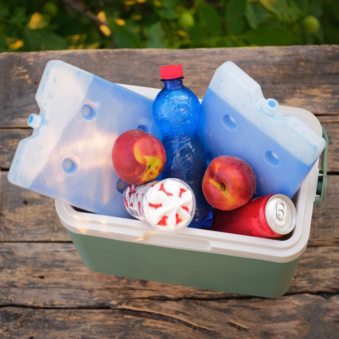 Акумулятор холоду гелевий IceBox, 23x17,5x2,5 см, 800 мл 