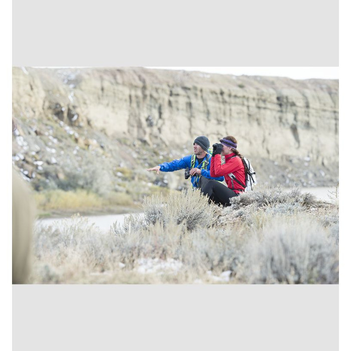 Бінокль Steiner Safari UltraSharp 8x22 