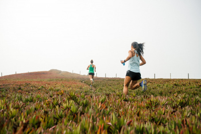 М'яка фляга HydraPak UltraFlask 500 мл 