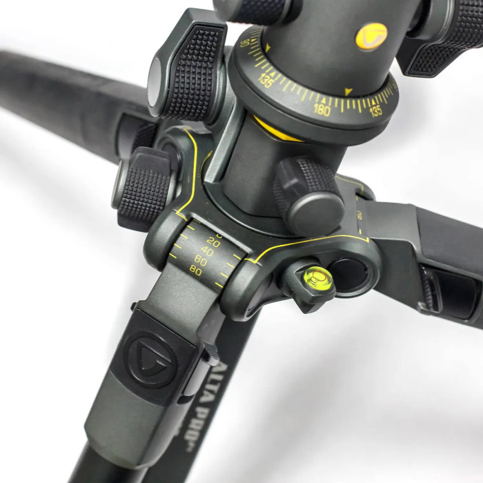 Штатив Vanguard Alta Pro 2+ 263AB 100 (Alta Pro 2+ 263AB 100) 