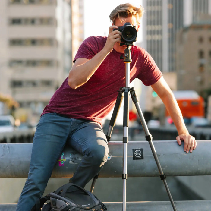 Штатив Vanguard Alta Pro 2+ 263AB 100 (Alta Pro 2+ 263AB 100) 