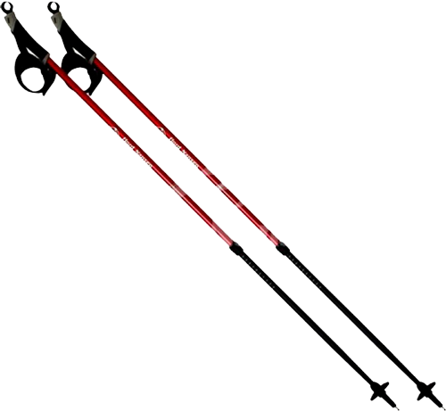 Трекінгові палиці Fjord Nansen Nordic Pro II (30224) 