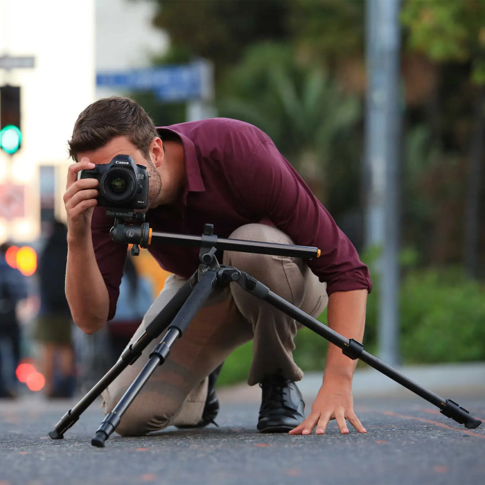 Штатив Vanguard Alta Pro 2+ 263CB 100 (Alta Pro 2+ 263CB 100) 