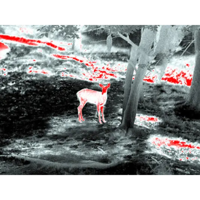 Приціл тепловізійний Guide TR 420 QD Long mount 2,3-9,2x25 384x288@12μm VOx. 1300 м 