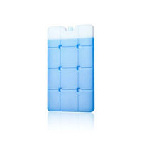 Акумулятор холоду гелевий IceBox, 33x23x2 см,  1100 мл