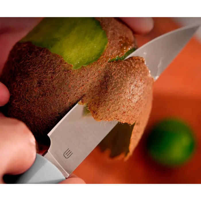 Ніж кухонний Butterfork Paring Knife AR-RPM9 ABS Light Grey 