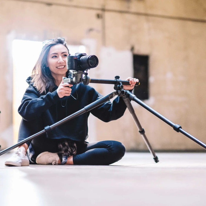 Штатив Vanguard Alta Pro 2+ 263CGHT (Alta Pro 2+ 263CGHT) 