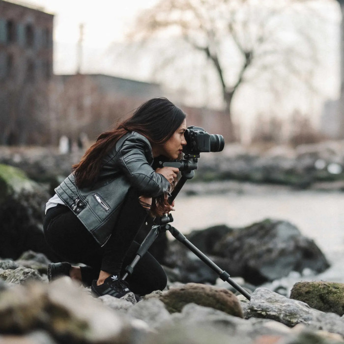 Штатив Vanguard Alta Pro 2+ 263CGHT (Alta Pro 2+ 263CGHT) 