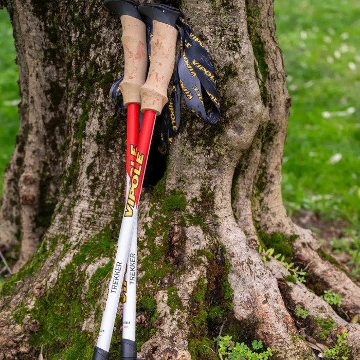 Палиці трекінгові Vipole Trekker Cork (S25 09) 