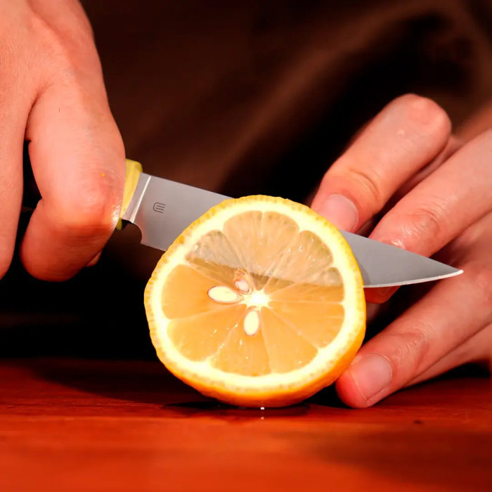 Ніж кухонний Butterfork Paring Knife AR-RPM9 ABS Yellow 