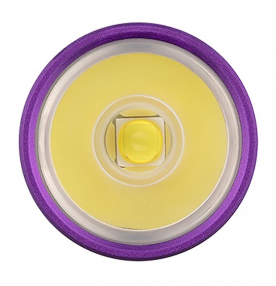 Ліхтар Olight I5R EOS, dragon & phoenix purple 