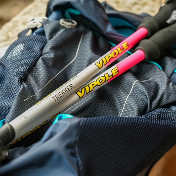 Палиці трекінгові Vipole Trekker Violet (S25 11) 