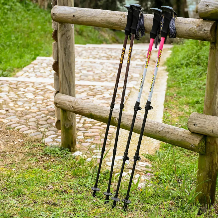 Палиці трекінгові Vipole Trekker Violet (S25 11) 