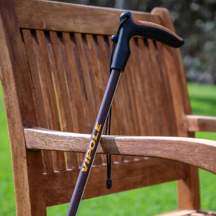 Палиця трекінгова Vipole Walker (S25 22) 