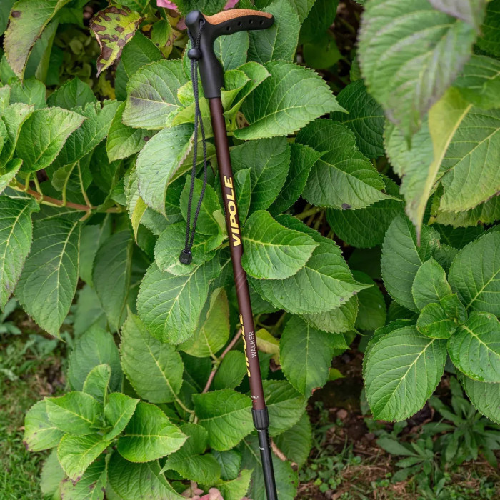 Палиця трекінгова Vipole Walker (S25 22) 