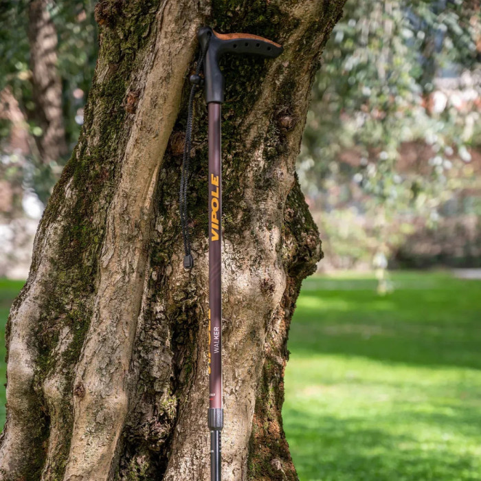 Палиця трекінгова Vipole Walker (S25 22) 