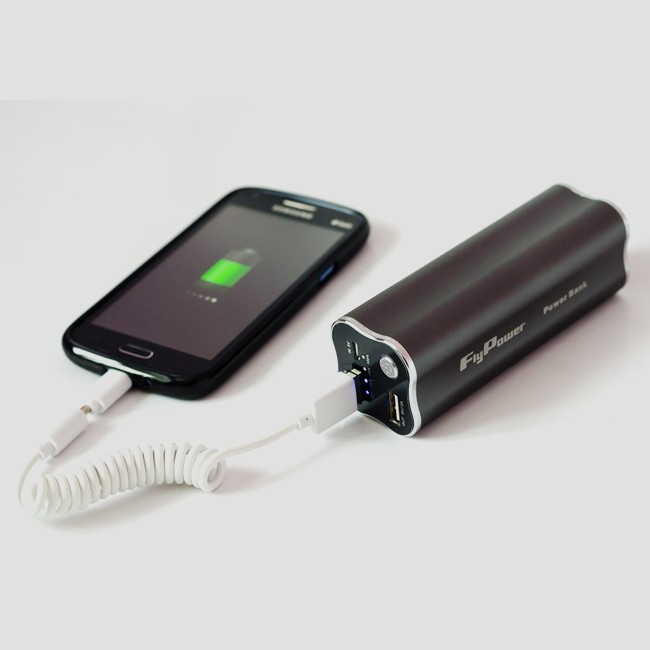 Зовнішній акумулятор (Power Bank) FlyPower FPB-10000 з потужним ліхтарем, 2 USB + ударостійкий чохол 