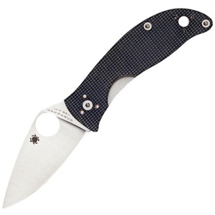 Ніж Spyderco Alcyone (C222GPGY) 