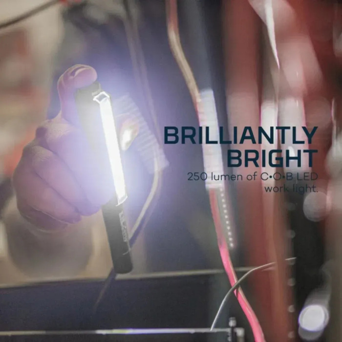 Ліхтар ручний Nebo Lil Larry 250 люмен (NB NEB-6373-G) 