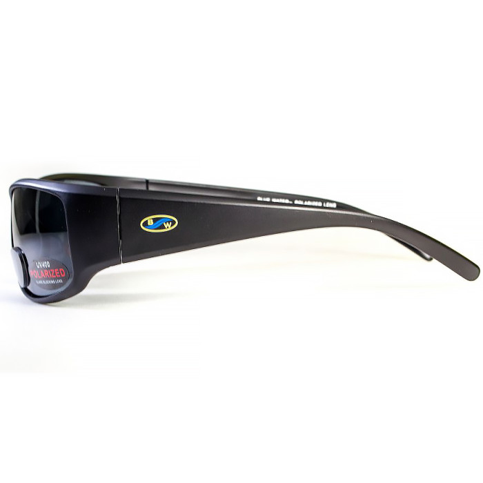 Окуляри BluWater Bifocal - 1 (+3.0) Polarized (gray) чорна біфокальна лінза з діоптріями 