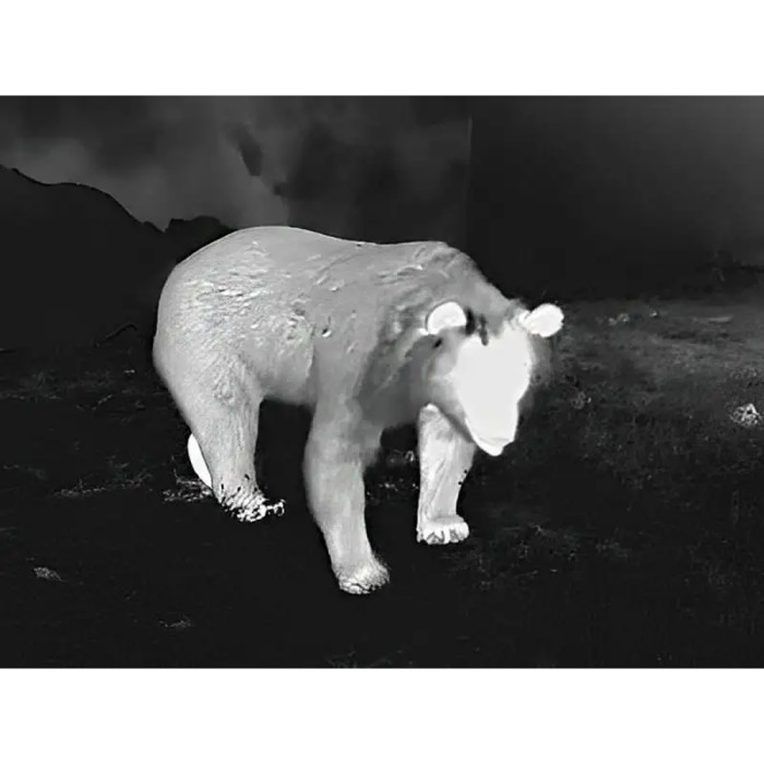 Монокуляр тепловізійний Guide TD631LRF 640x480. 3350м 