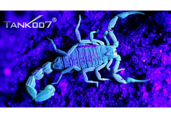 Ліхтар Tank007 ультрафіолетовий TK566 