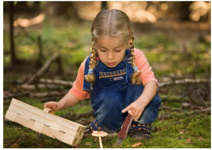 Ніж грибний Rough Ryder Mushroom Knife 