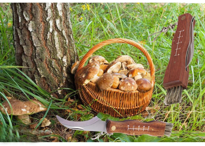 Ніж грибний Rough Ryder Mushroom Knife 