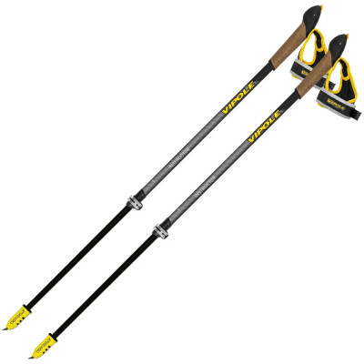 Палиці для скандинавської ходьби Vipole Instructor Vario QL Silent DLX (S25 24)