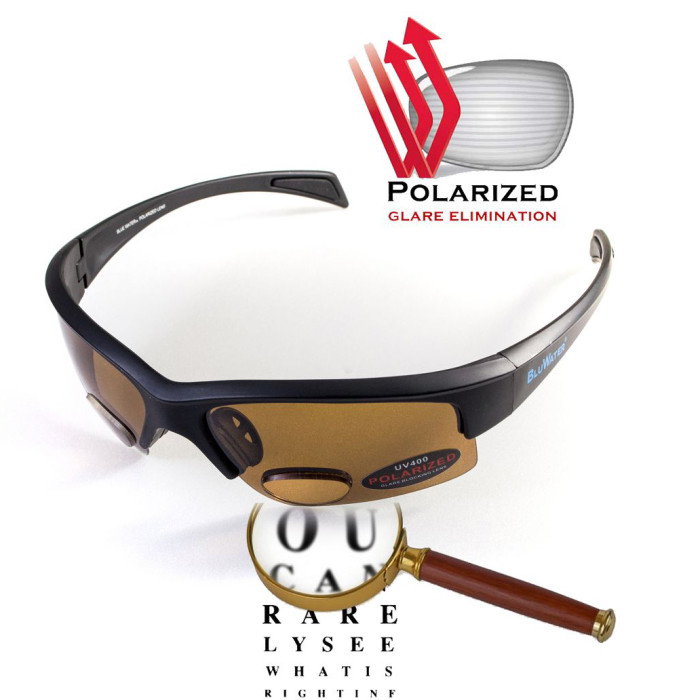 Окуляри BluWater Bifocal - 2 (+2.0) Polarized (brown) коричнева біфокальна лінза з діоптріями 