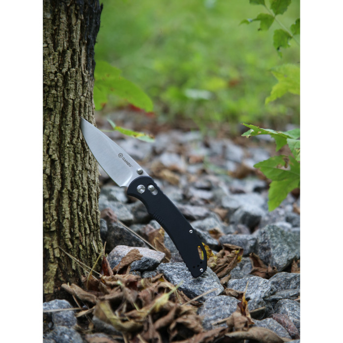 Ніж складаний Ganzo G7531-BK 