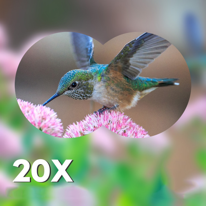 Бінокль SABPACK SN64 20x50 