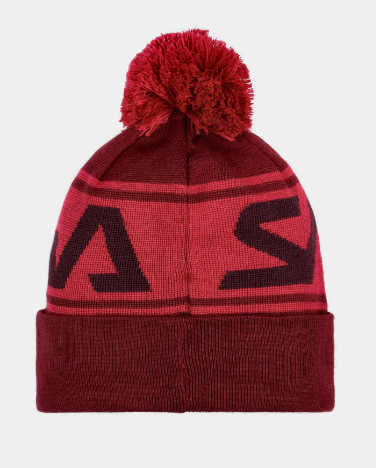 Шапка Salewa ANTELAO POM BEANIE-фіолетова 