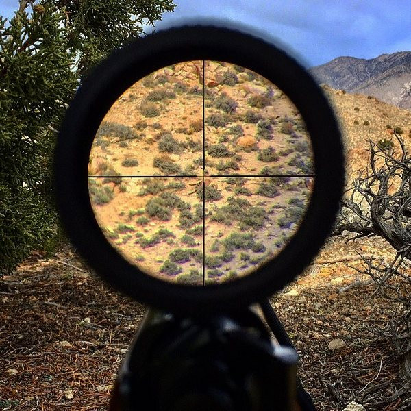 Приціл оптичний Vortex Crossfire II 4 - 12x44 (V-Plex) 